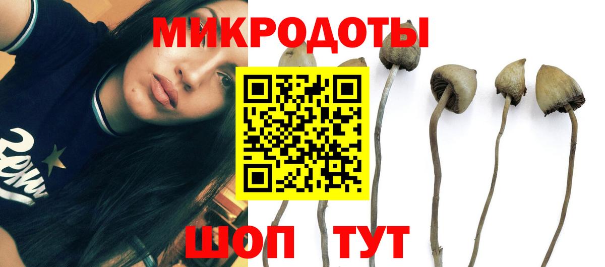 Воронеж  Галлюциногенные грибы Psilocybine cubensis  Вход с VPN 