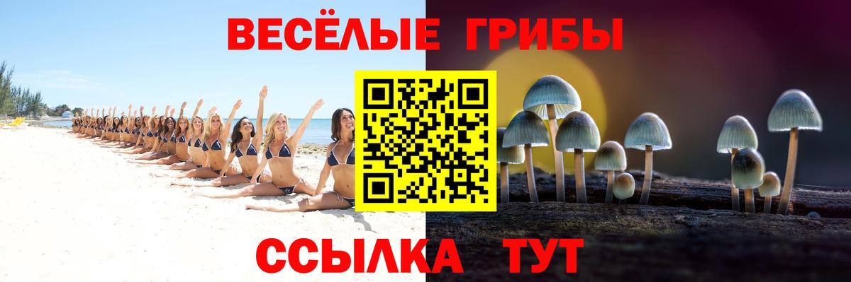 Галлюциногенные грибы Cubensis Воронеж